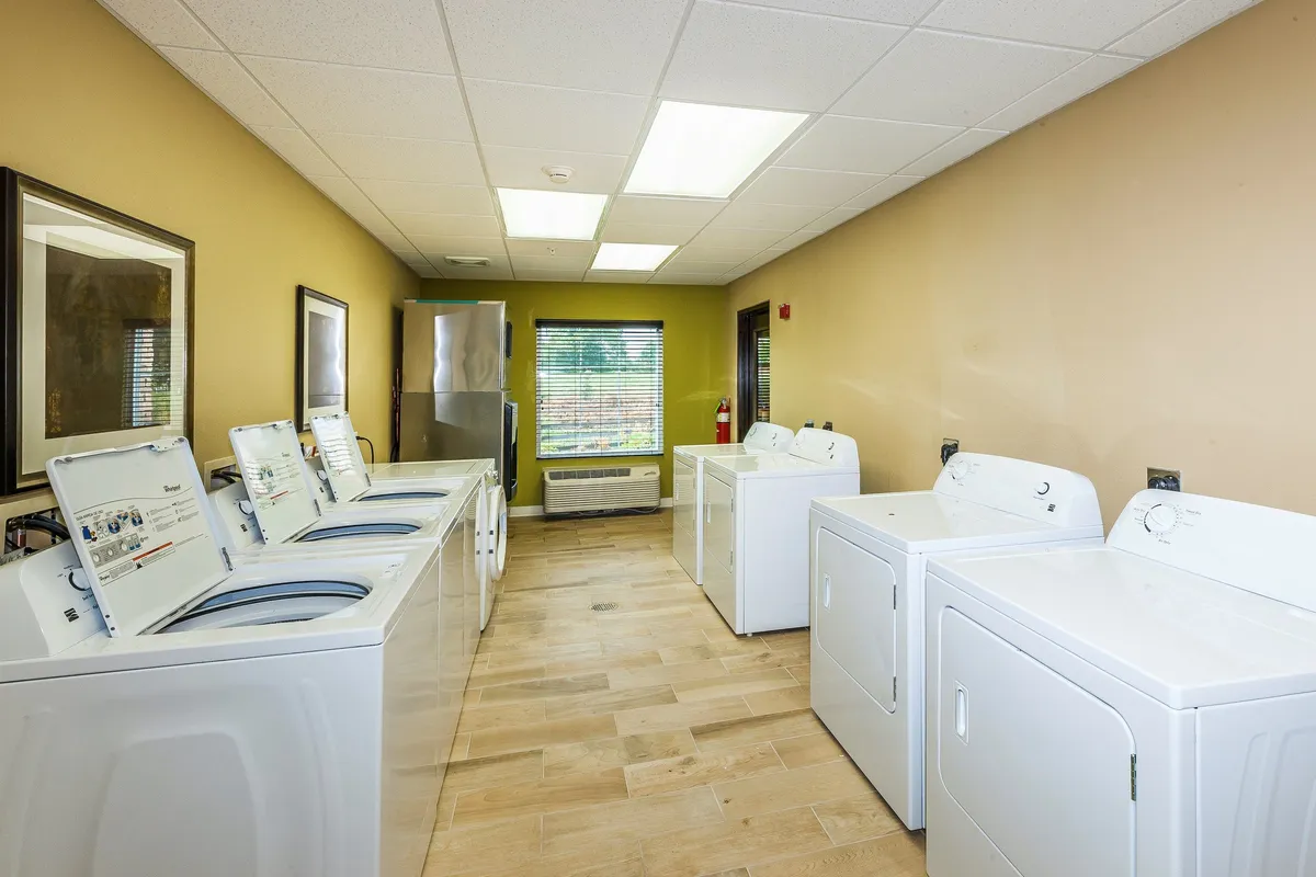 This image shows a well-lit, practical laundry room with several washing machines and dryers, windows letting in natural light, and framed artwork adding a homey touch. The overall atmosphere is clean, organized, and inviting, suggesting a focus on guest comfort and convenience.